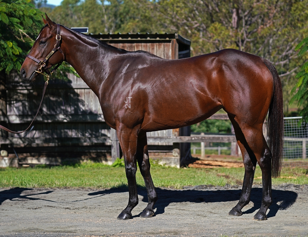 The Dabble Effect (AUS) - Image 1