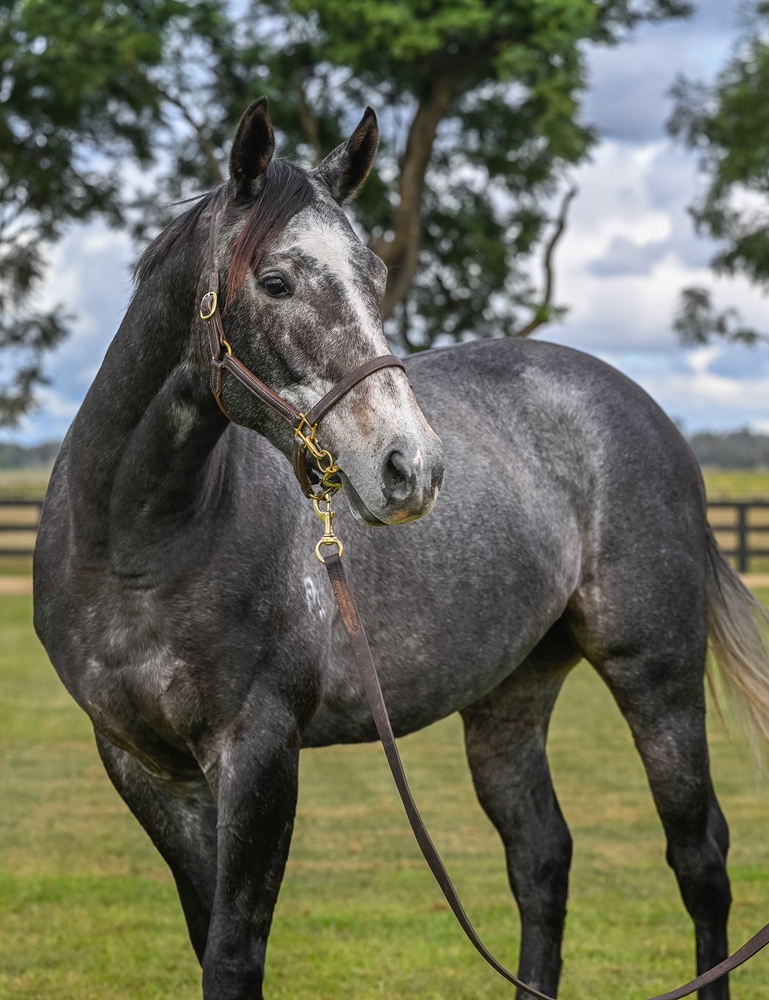 Heavenly Way (AUS) - Image 3