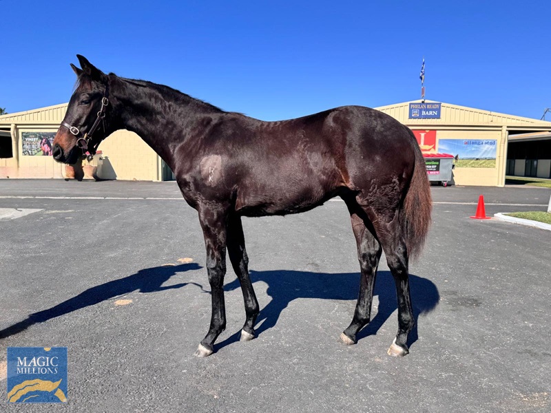 7ed4c45e-9c70-45c4-aa7e-d26504b96abe.jpg - Image 1