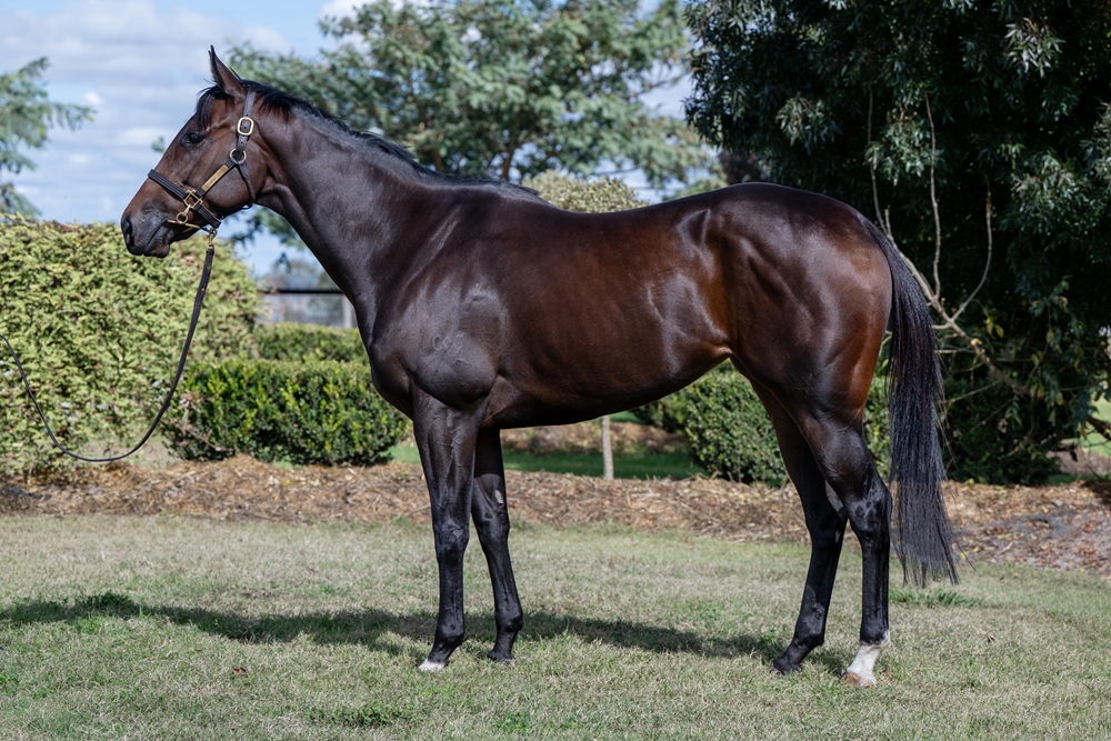 Avone (AUS) - Image 1