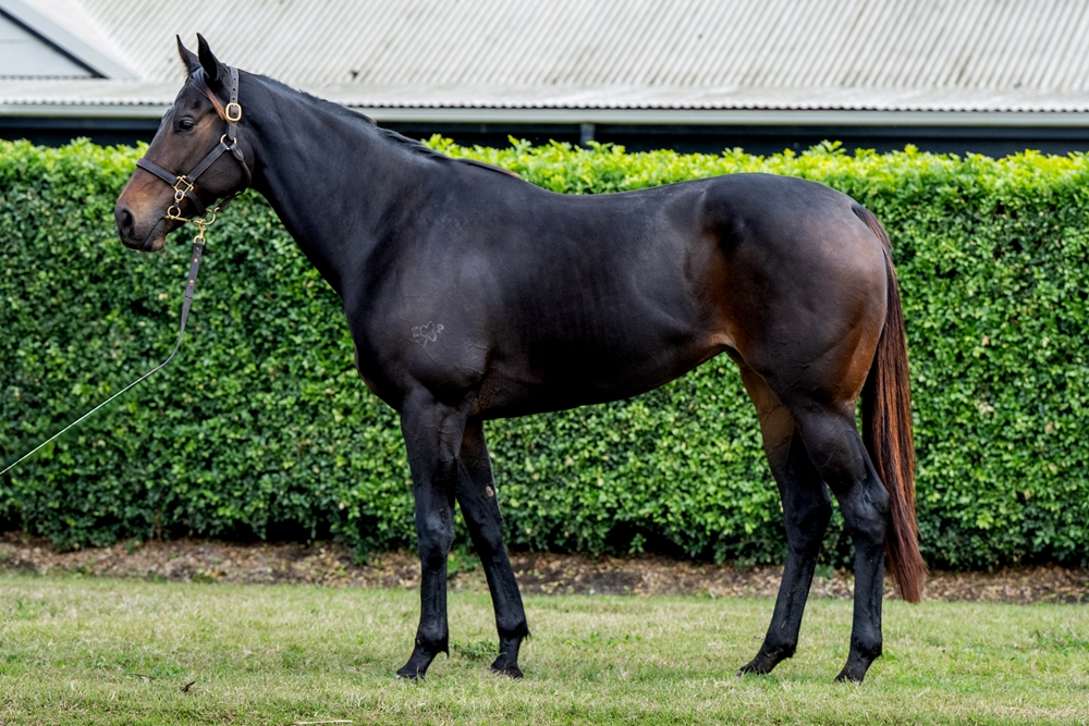 Casa Fagliano (AUS) - Image 1