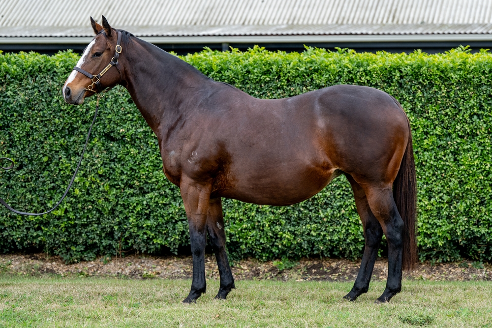 Secret Doubt (AUS) - Image 1