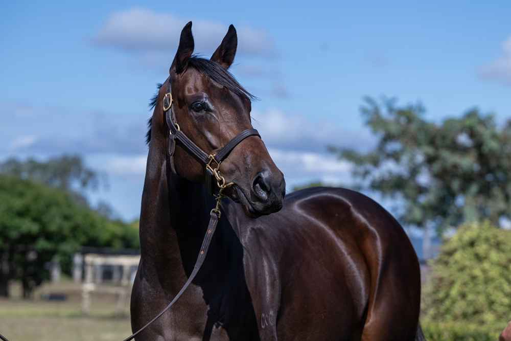 Avone (AUS) - Image 2