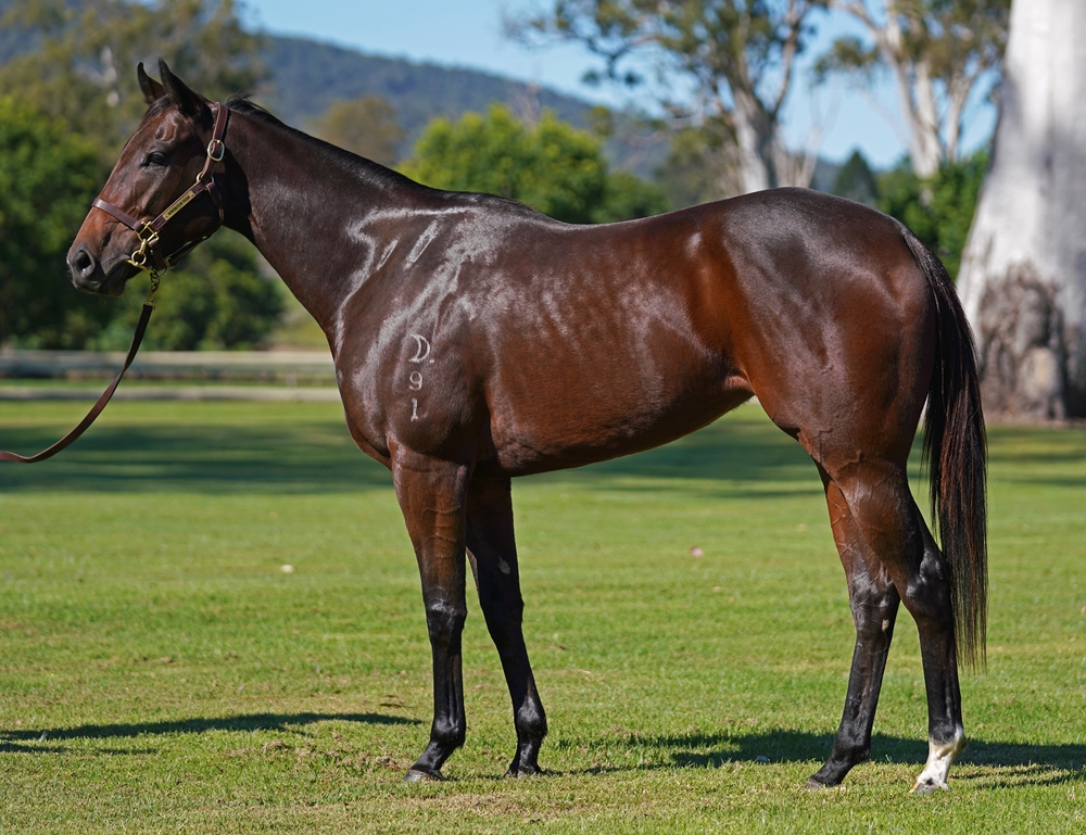 Circle of Love (AUS) - Image 1
