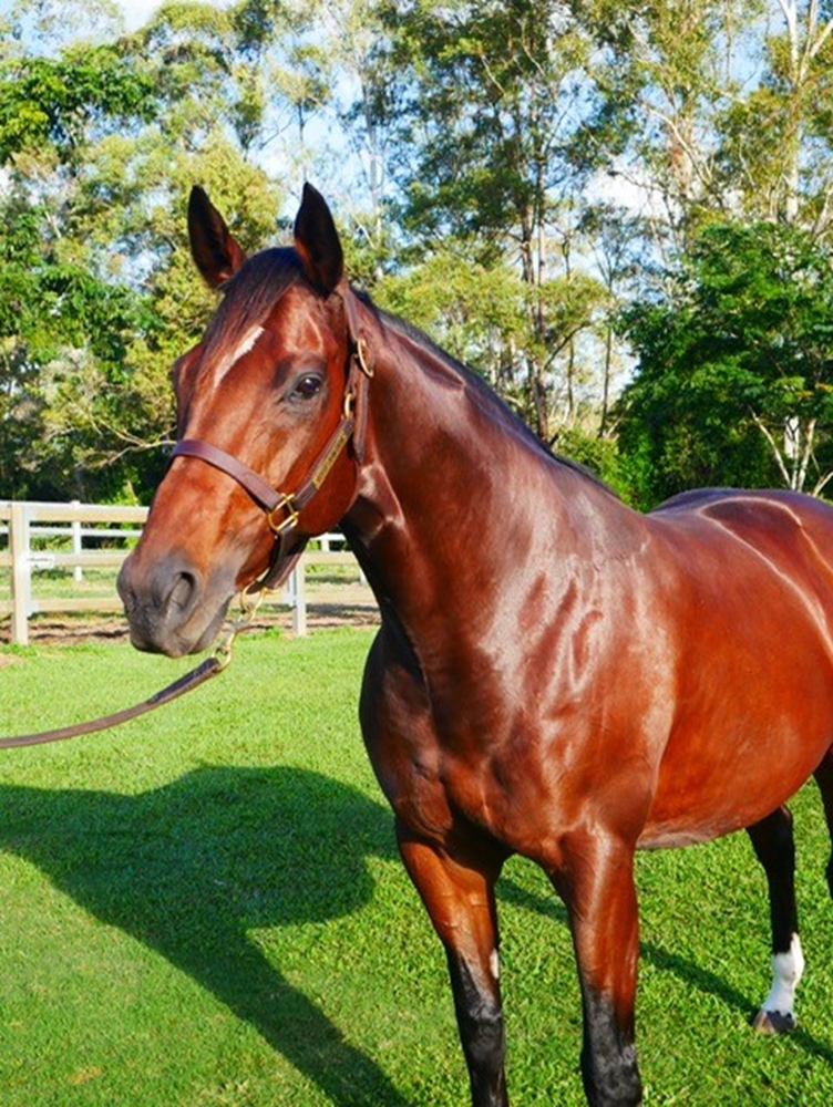 Moonquake (USA) - Image 1