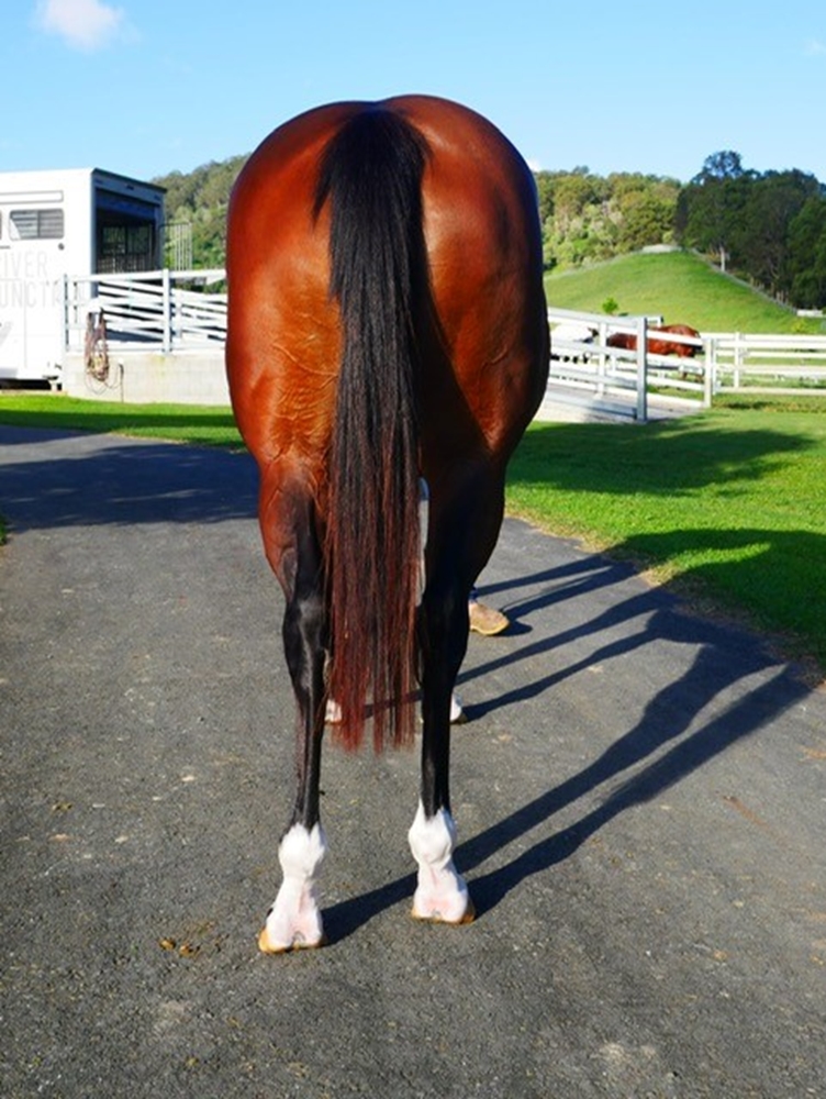 Moonquake (USA) - Image 2