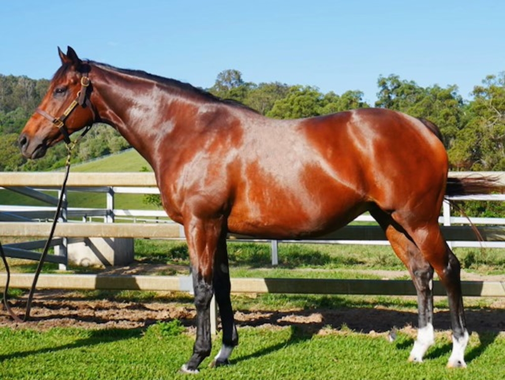 Moonquake (USA) - Image 3