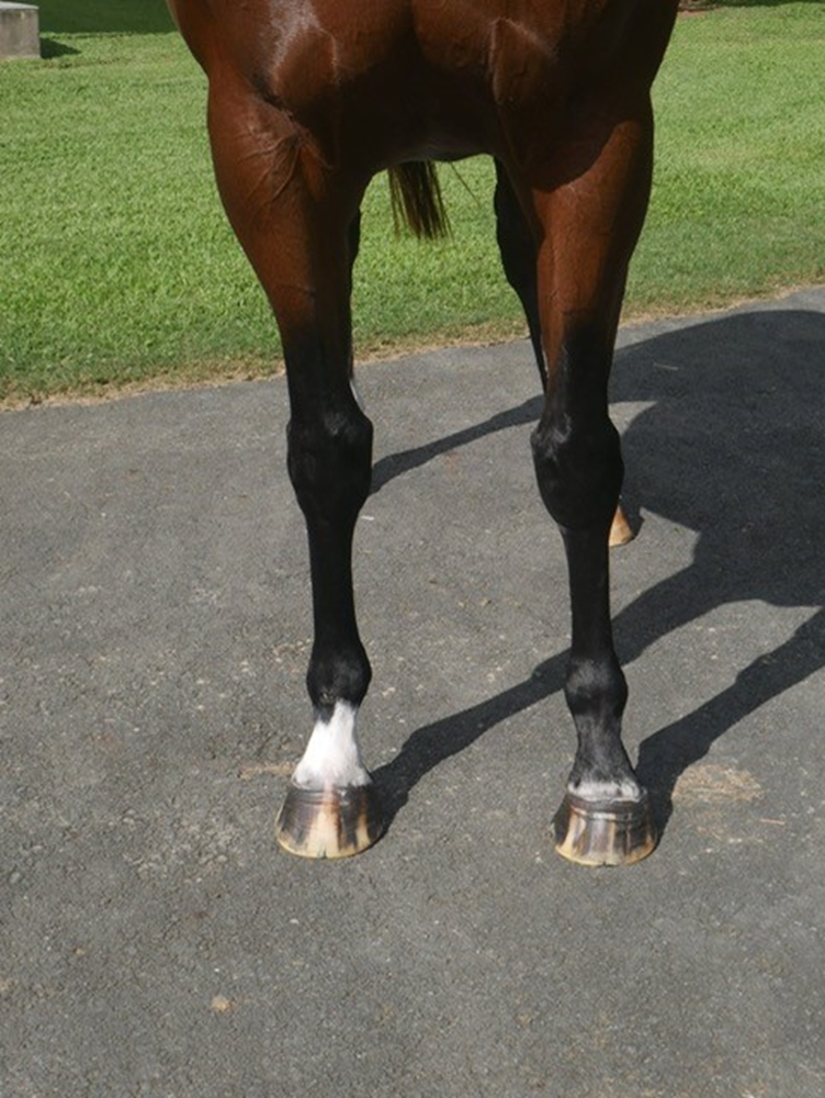 Moonquake (USA) - Image 4