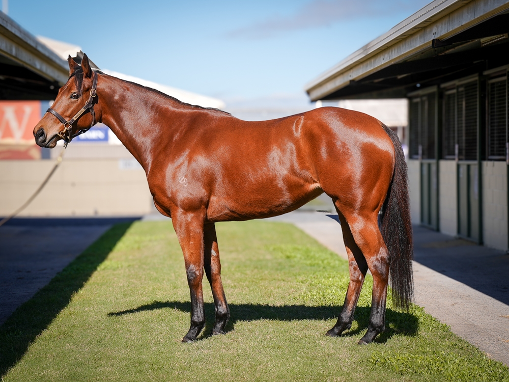 Moesha (AUS) - Image 1