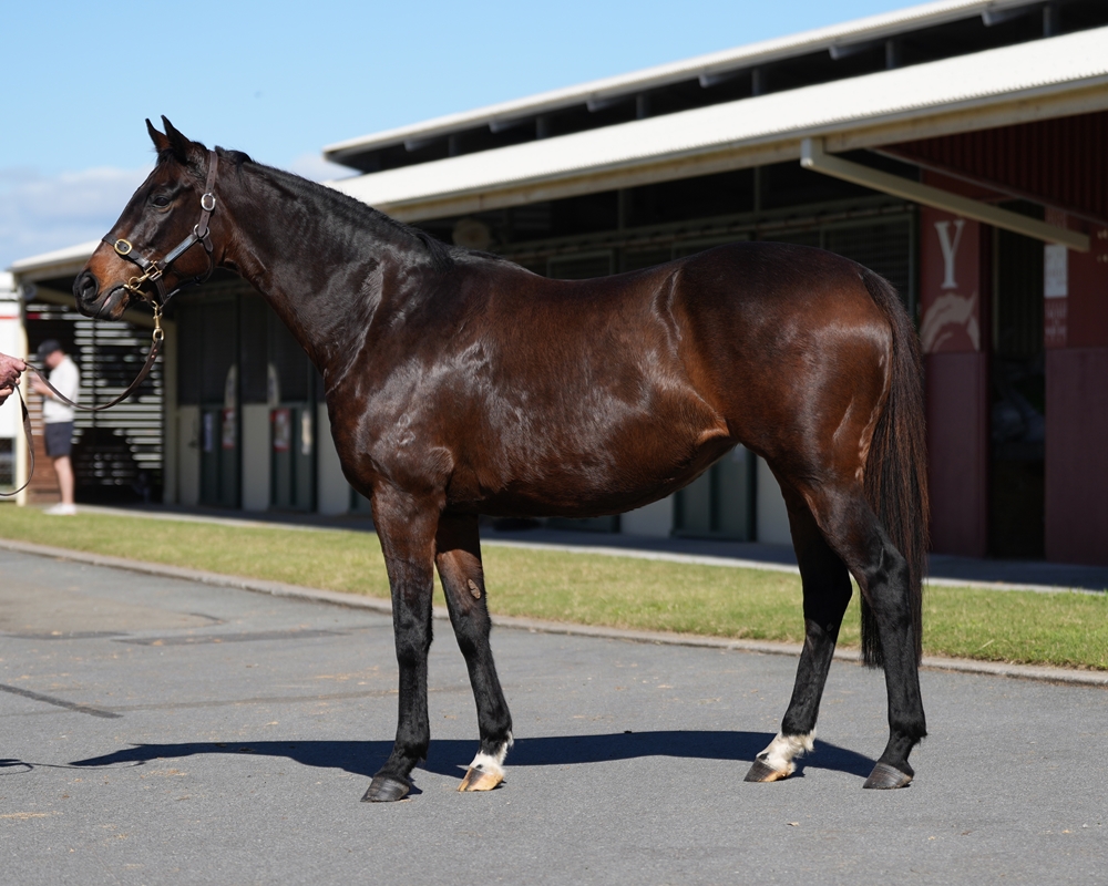 Malakiya (AUS) - Image 1