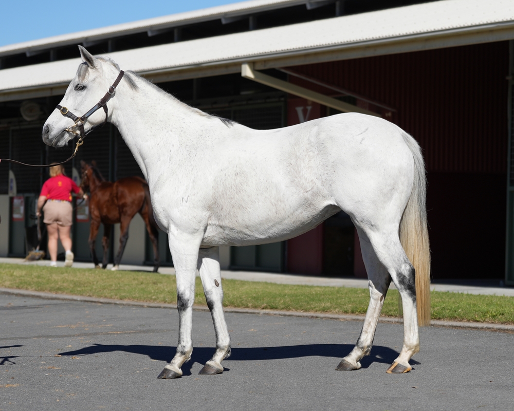 Punch the Clock (AUS) - Image 1