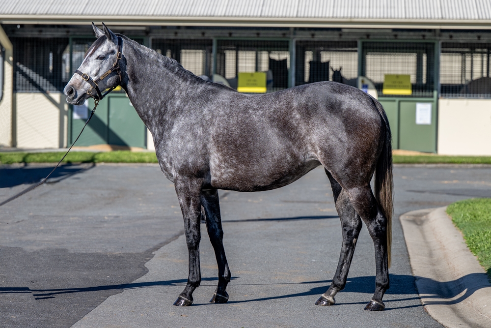 Long Beach (FR) - Image 1