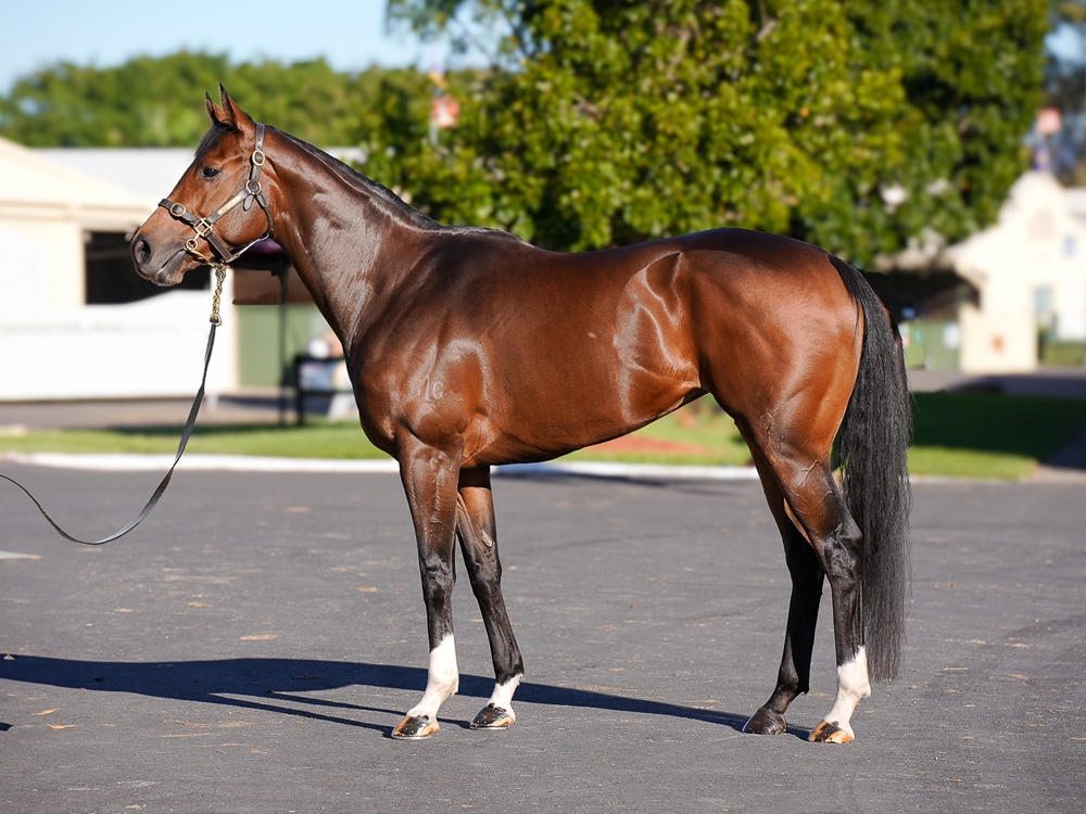 See You in Heaven (AUS) - Image 1