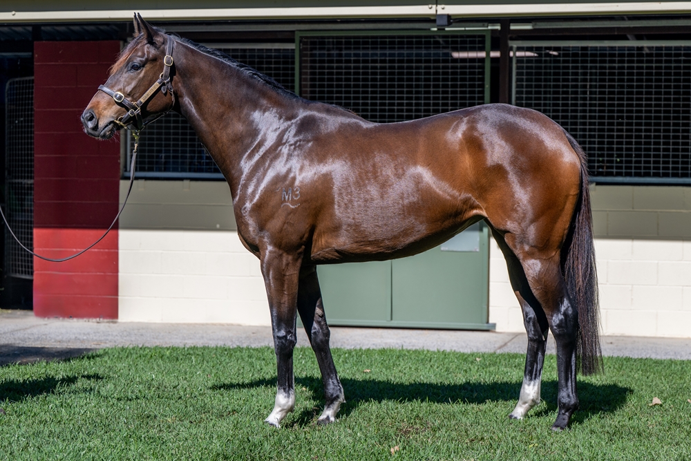 Doraskaya (AUS) - Image 1