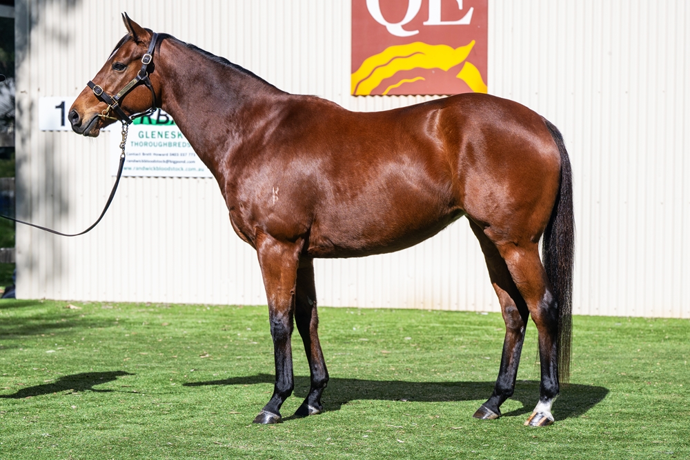 Pencilled Out (NZ) - Image 1