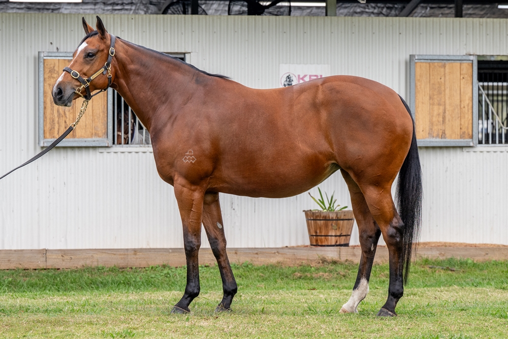 Prize Draw (AUS) - Image 1