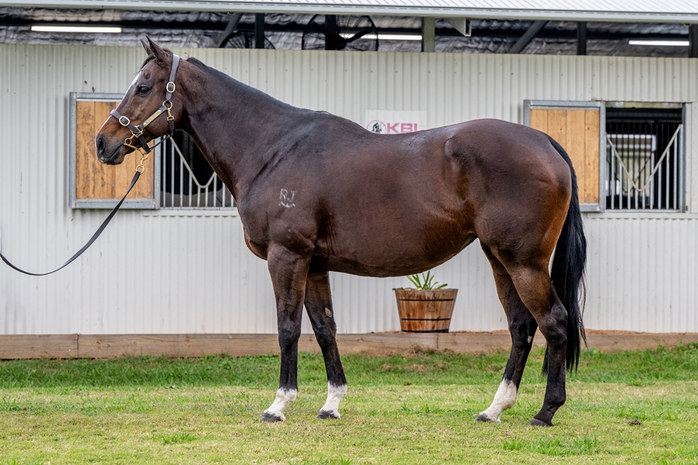 Laugh a Little (AUS) - Image 1