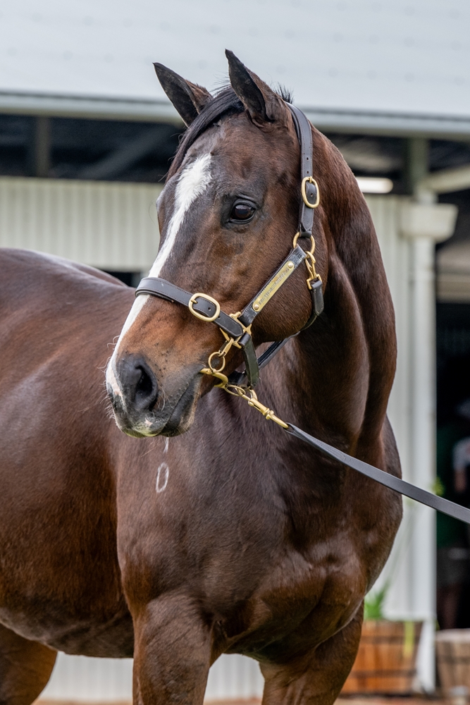 Laugh a Little (AUS) - Image 2