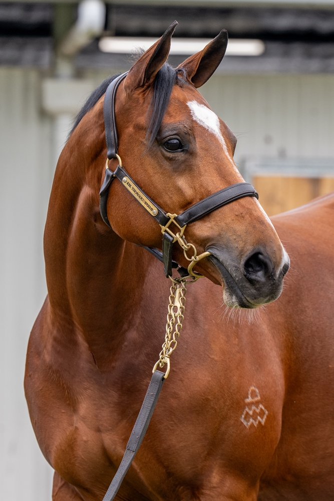 Prize Draw (AUS) - Image 2