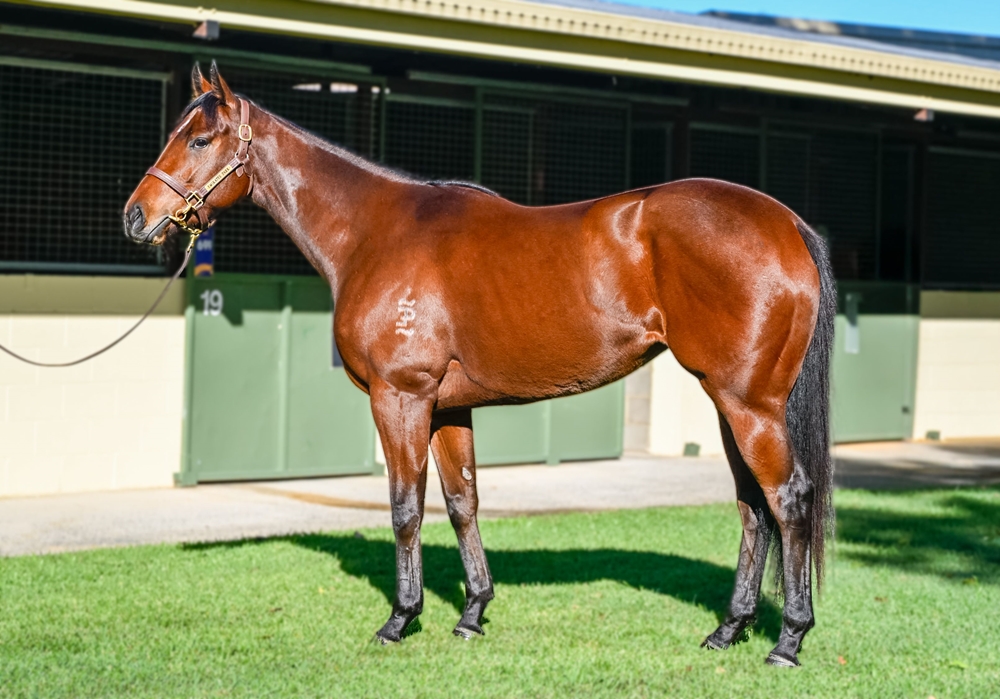 Naifah (AUS) - Image 1