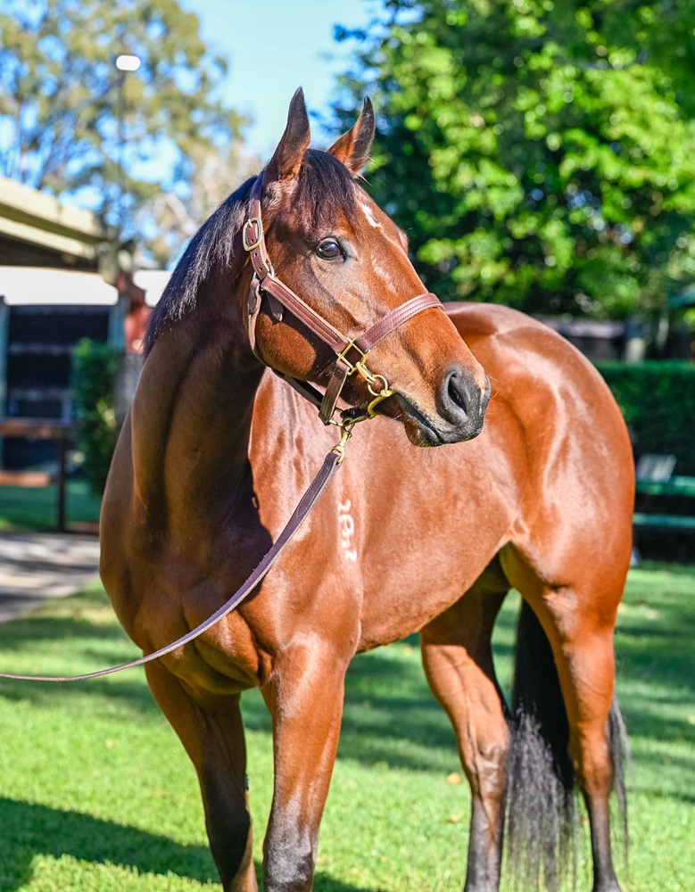 Naifah (AUS) - Image 2