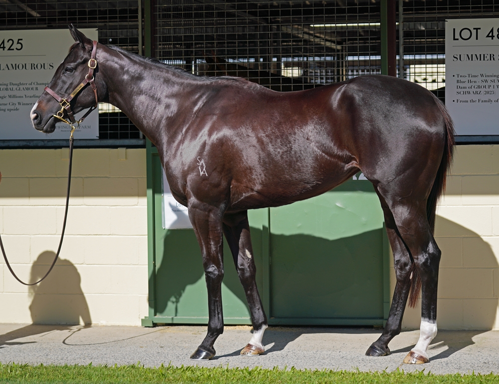 She's a Rogue (AUS) - Image 1