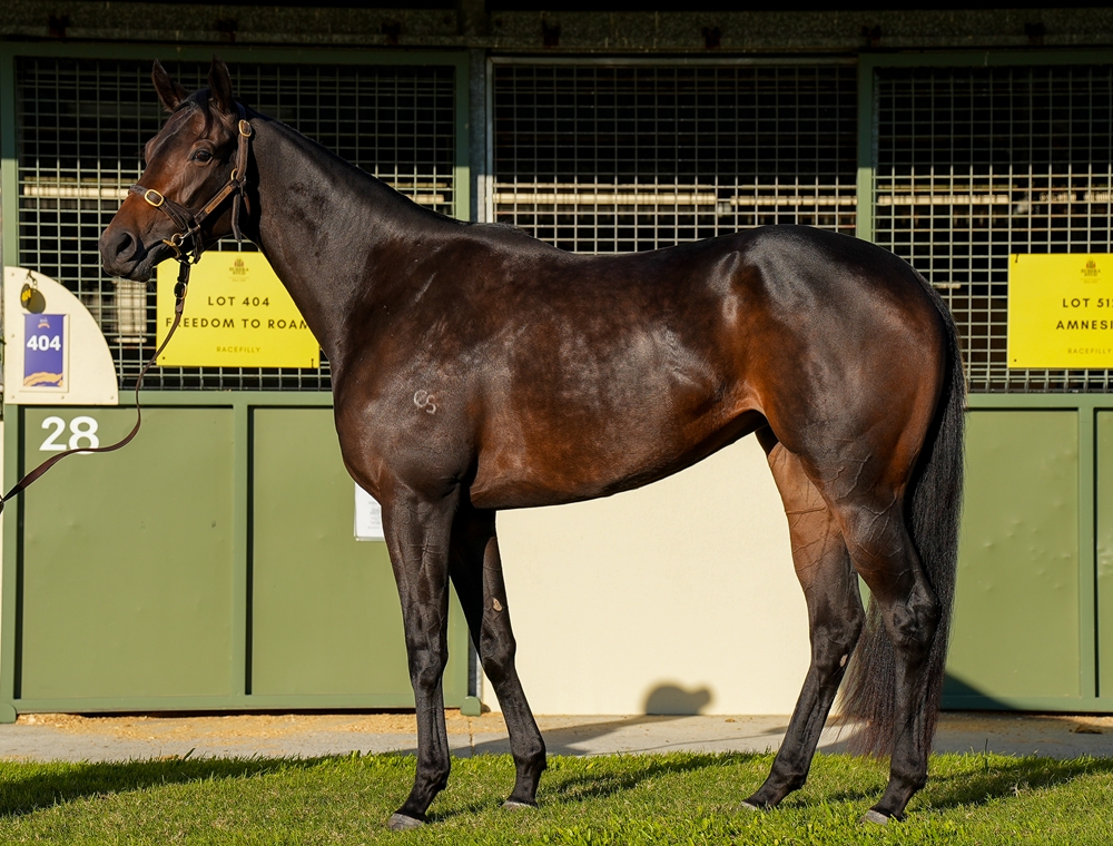 Freedom to Roam (AUS) - Image 1