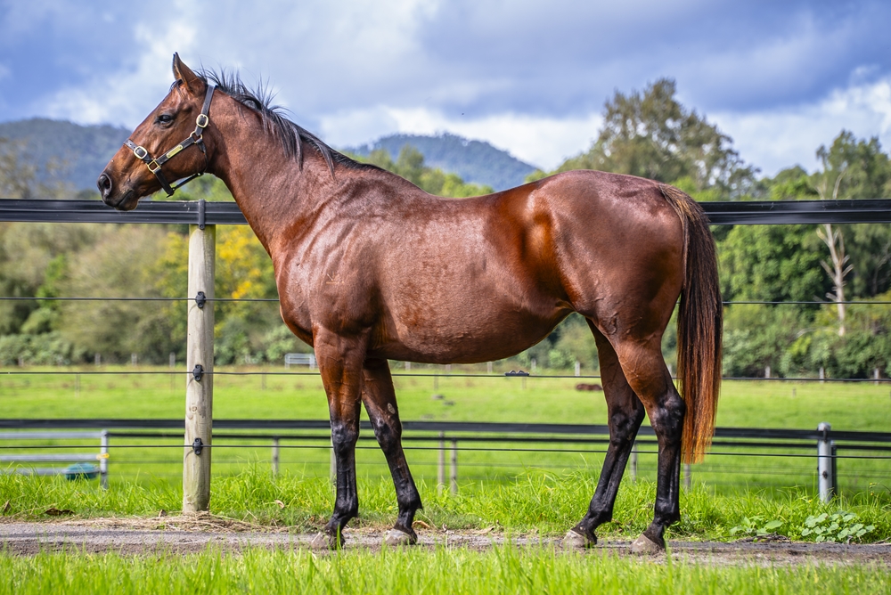 Smelting (AUS) - Image 1