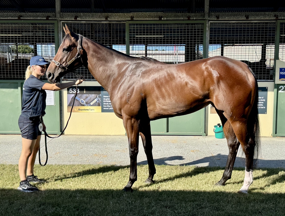 In Her Eyes (AUS) - Image 1