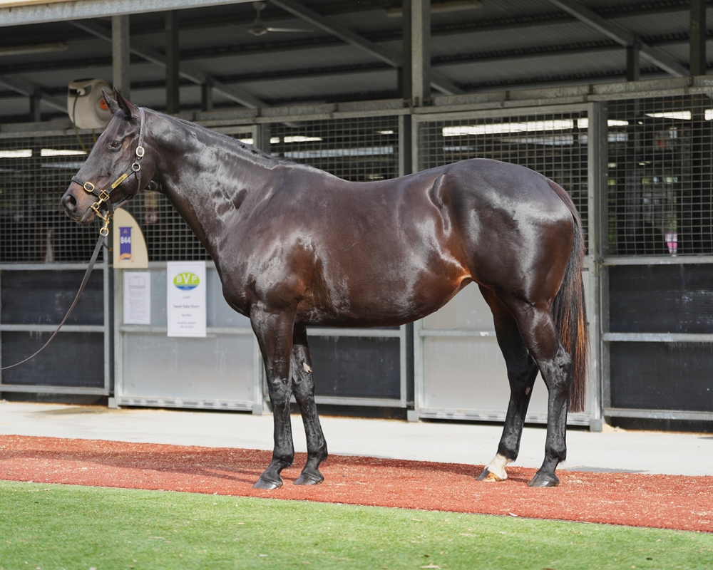 Thala (AUS) - Image 1