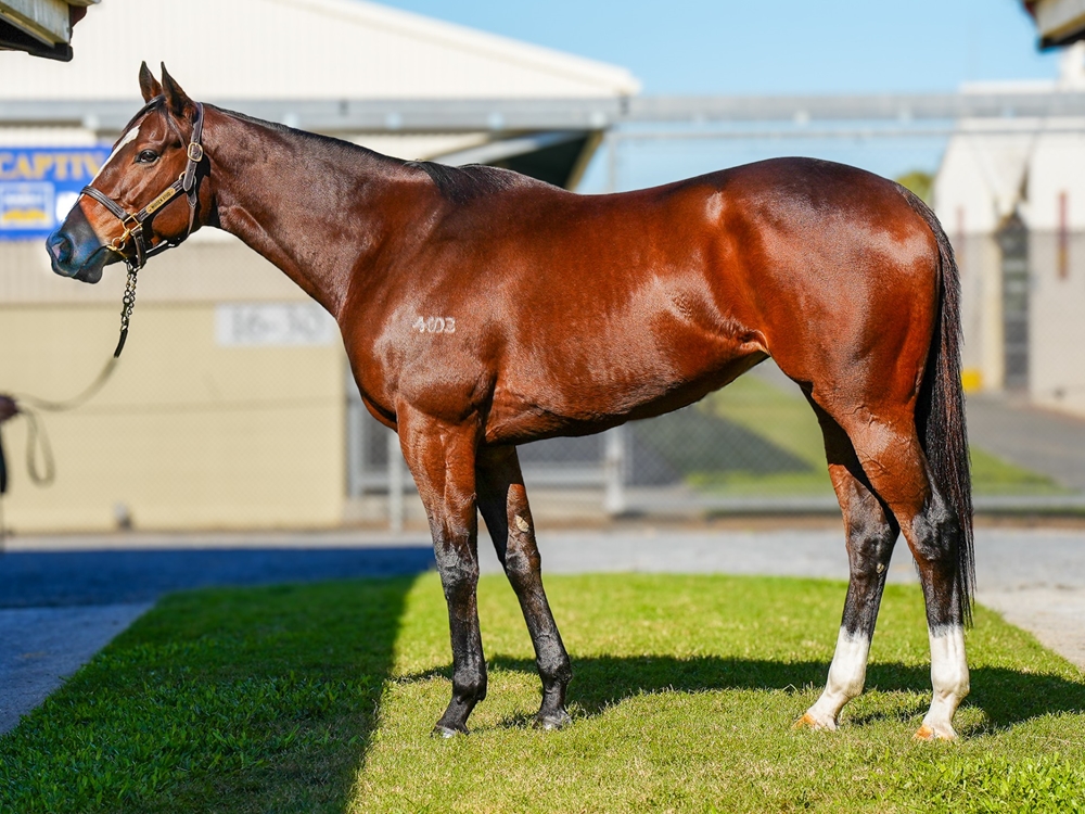 Ballroom Bella (AUS) - Image 1