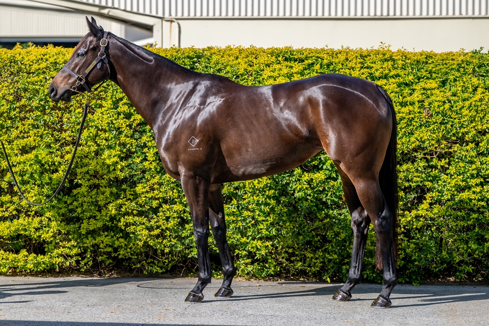 Party for Two (AUS) - Image 1