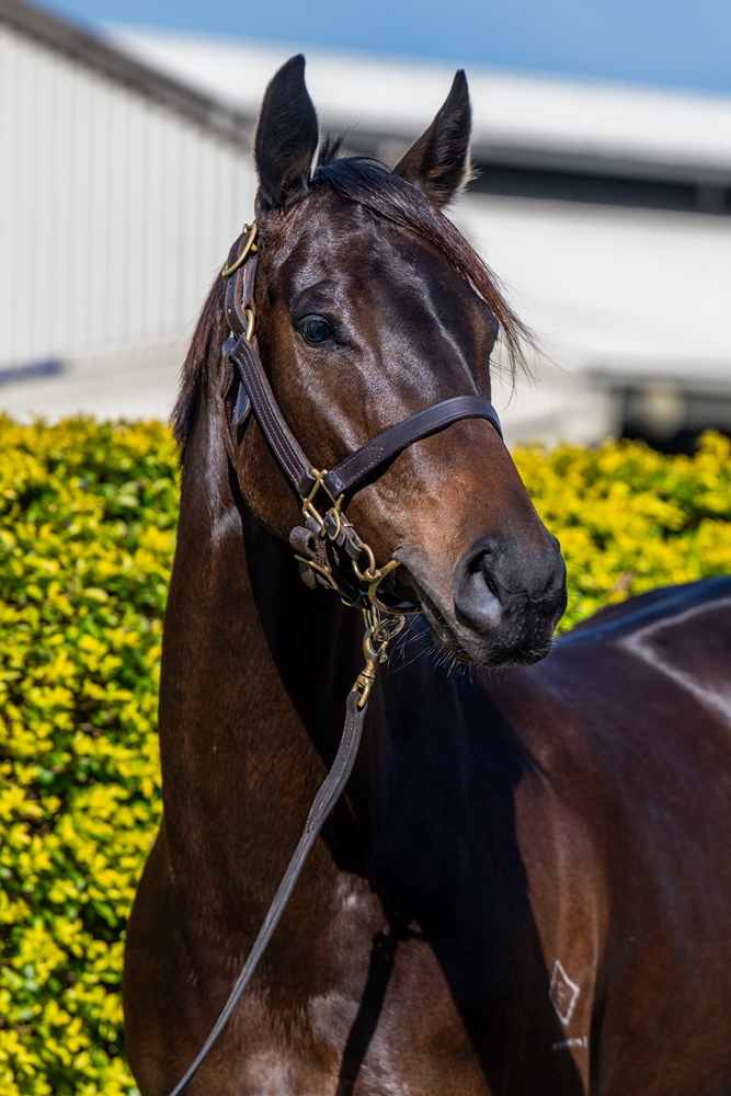 Party for Two (AUS) - Image 2