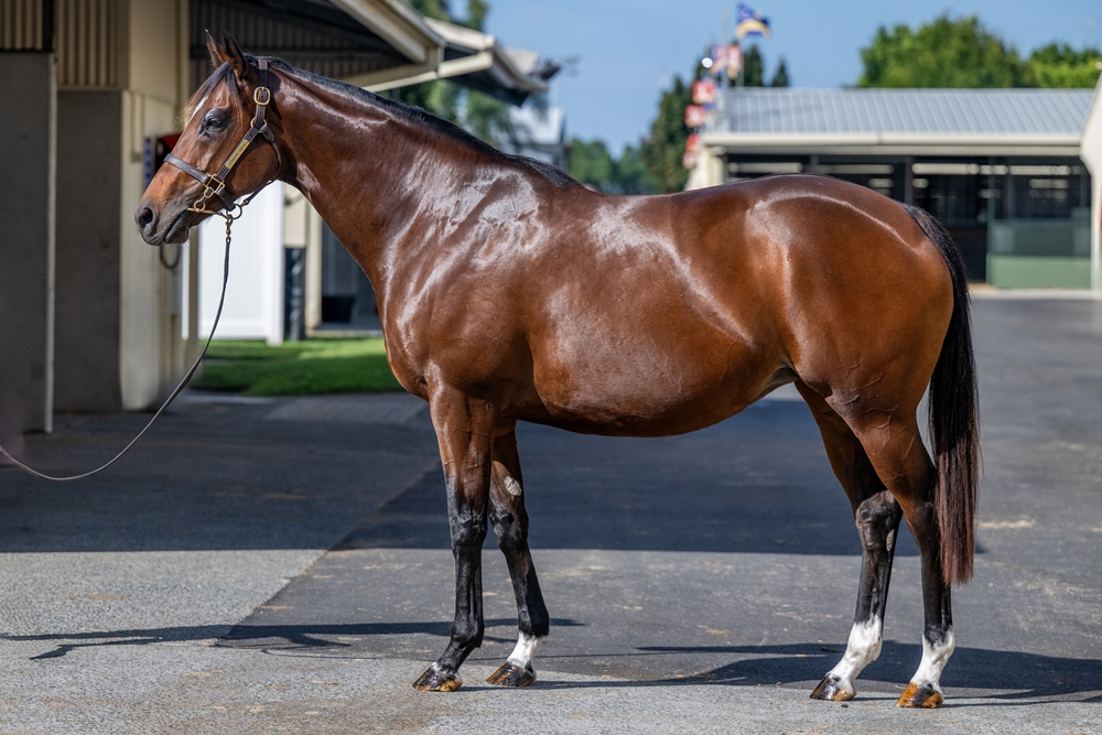 Moonquake (USA) - Image 1