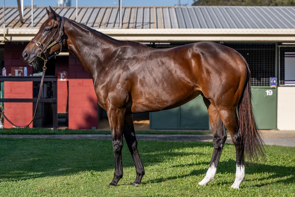 Super Chilled (AUS) - Image 1