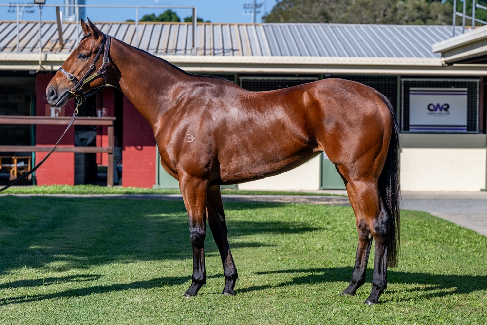 Autumnmation (AUS) - Image 1