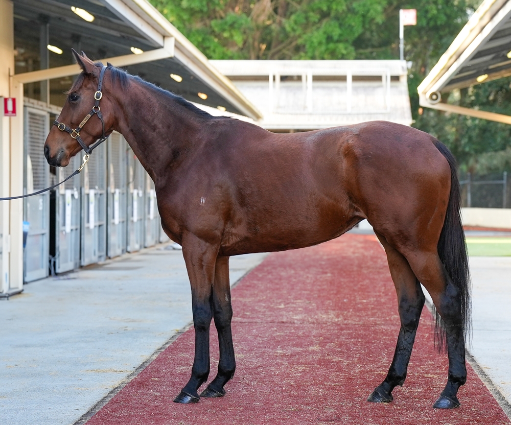 Winning Side (FR) - Image 1