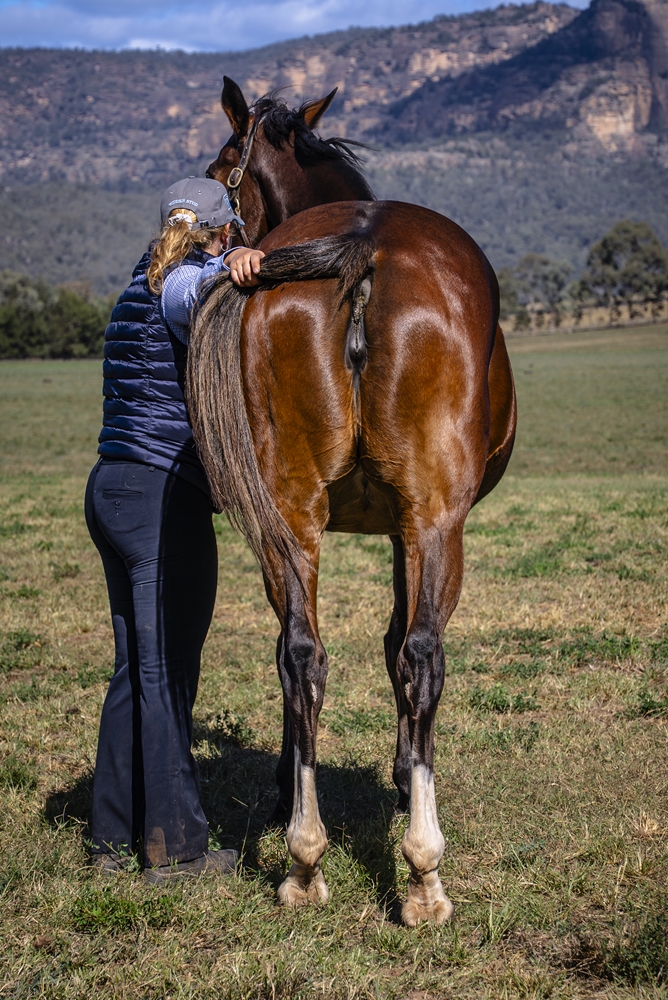 Dream Cirque (AUS) - Image 4