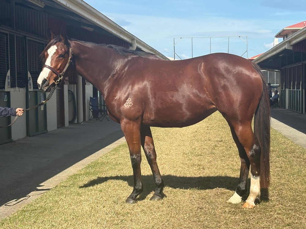 Mingle (AUS) - Image 1