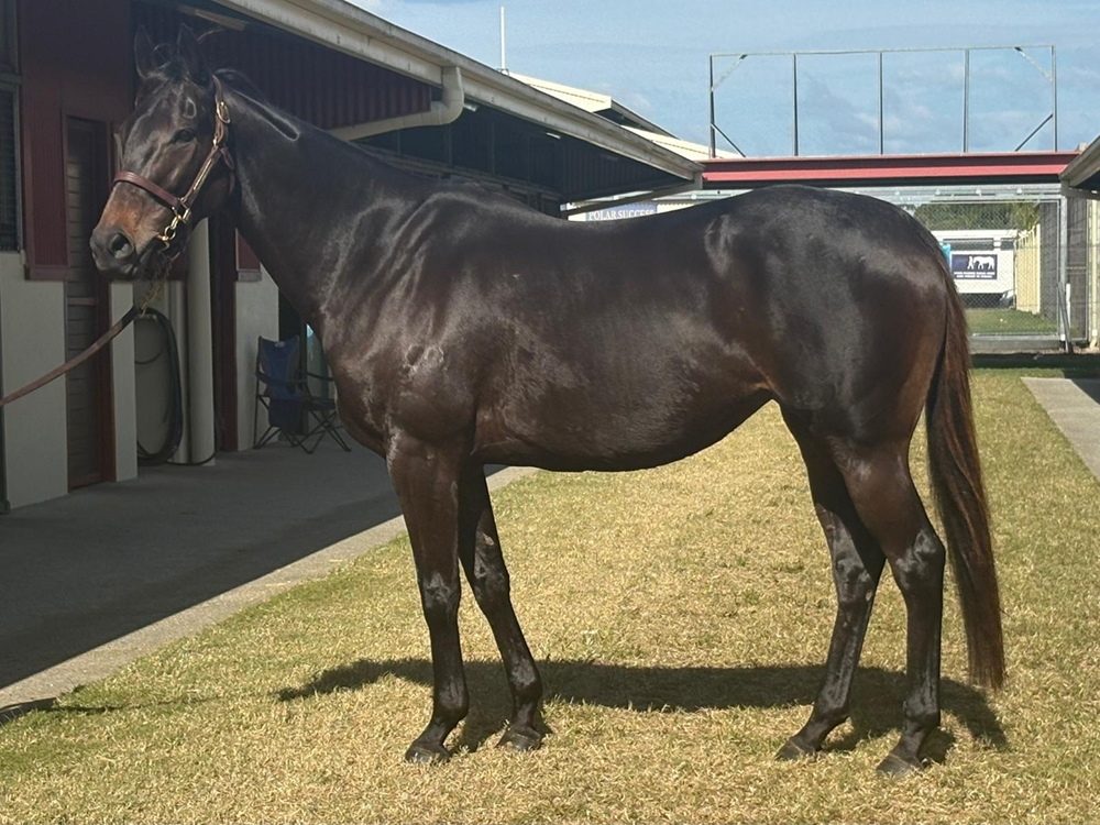 Love for All (AUS) - Image 1