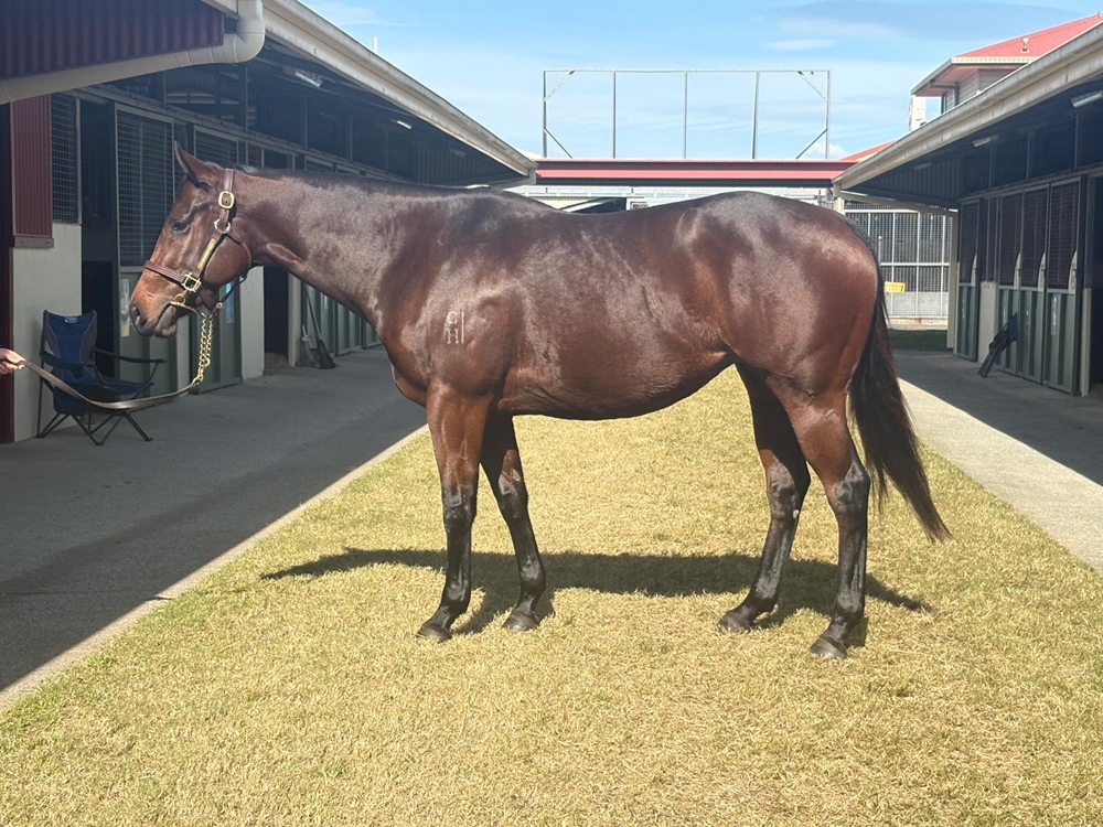 Repose (AUS) - Image 1