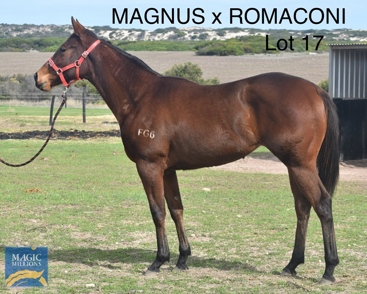 DSC_0235 (1).jpg - Image 1