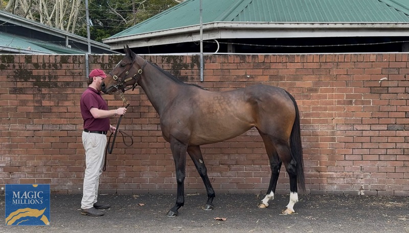 Captain Amelia Sale.jpg - Image 1