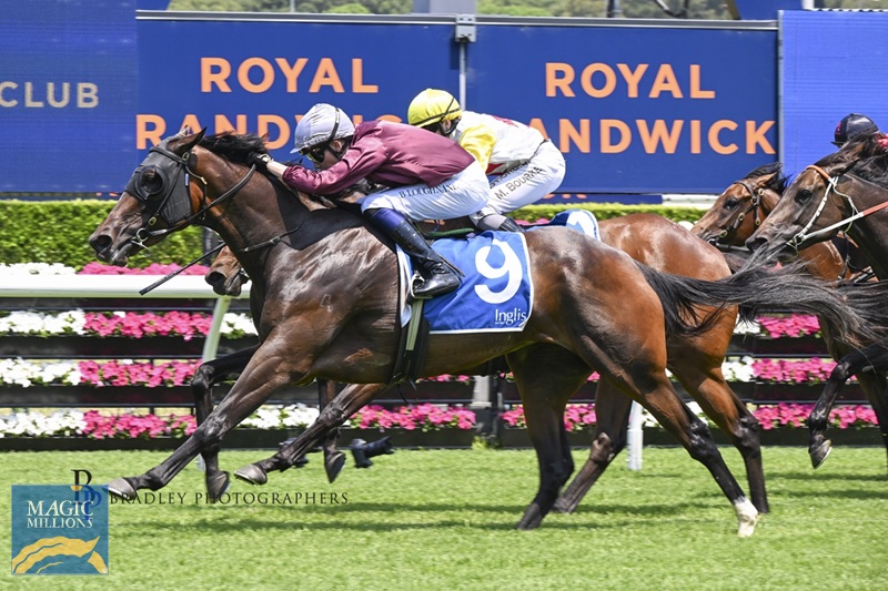 Captain Amelia Race.jpg - Image 2