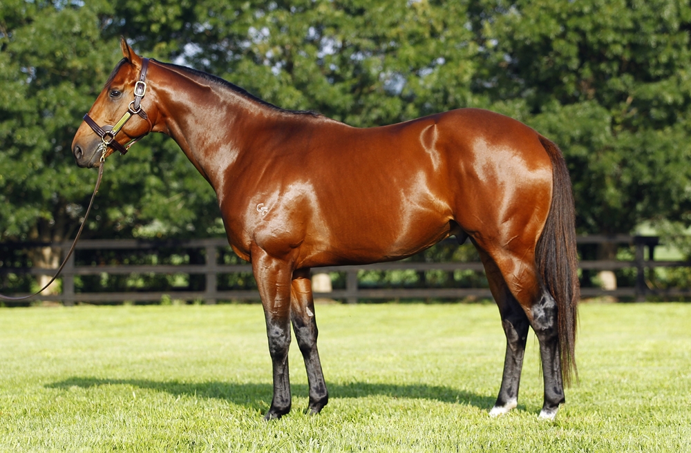 All Too Hard (AUS) - Image 1