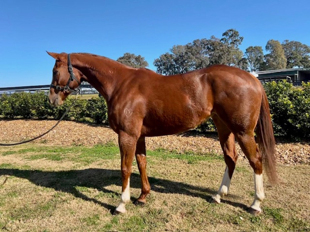 Excess Capital (AUS) - Image 1