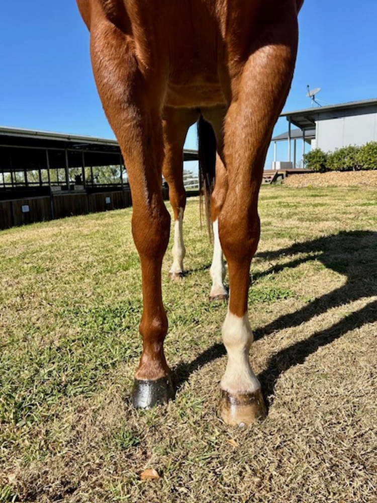 Excess Capital (AUS) - Image 2