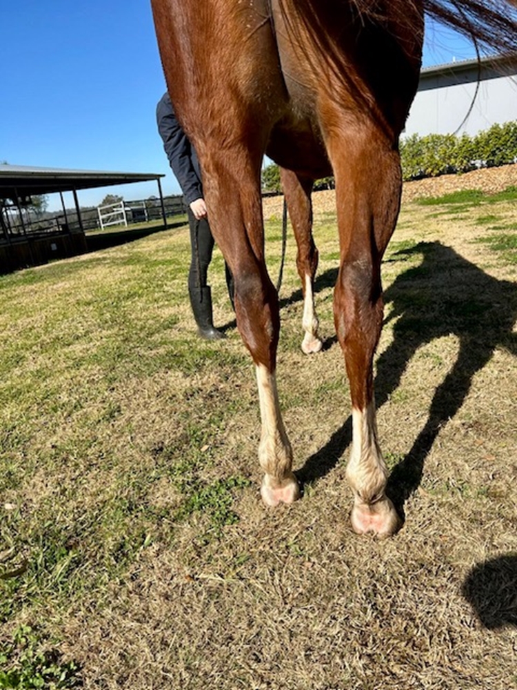 Excess Capital (AUS) - Image 3