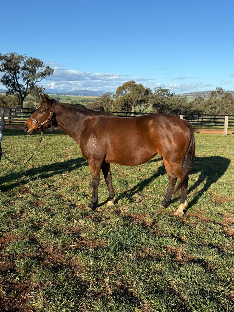 Awareness (AUS) - Image 1