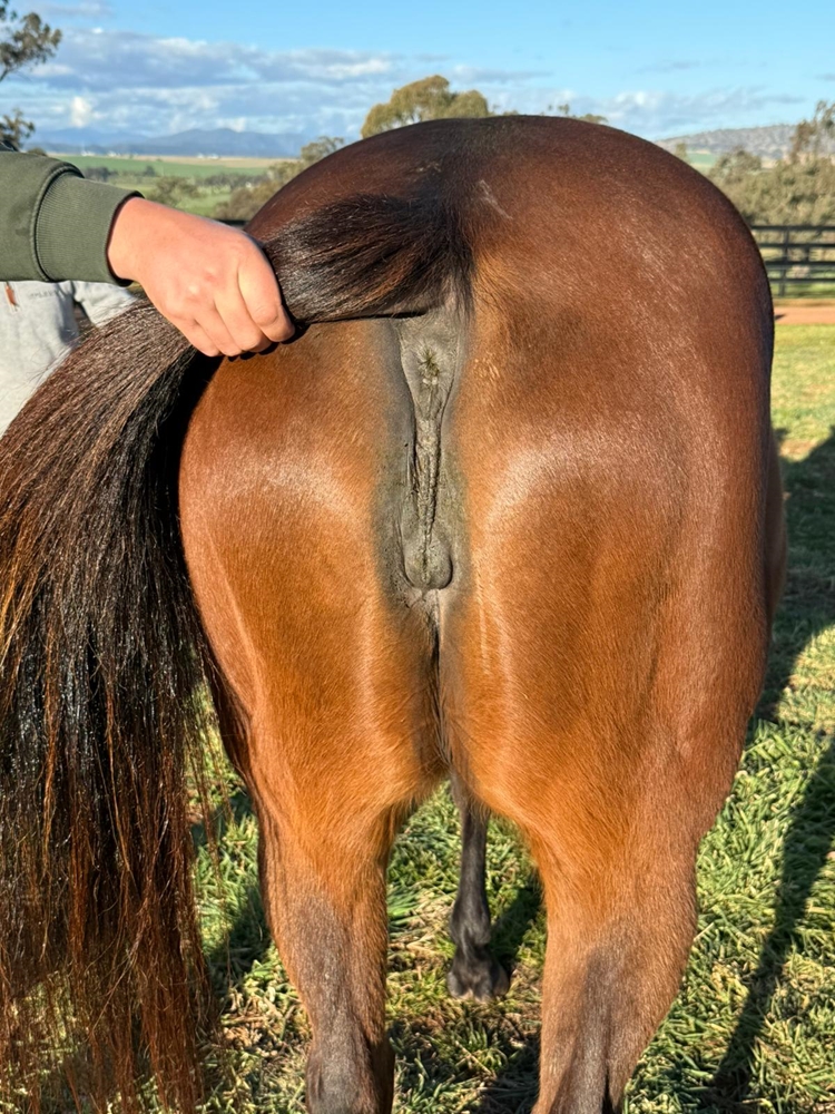 Awareness (AUS) - Image 3